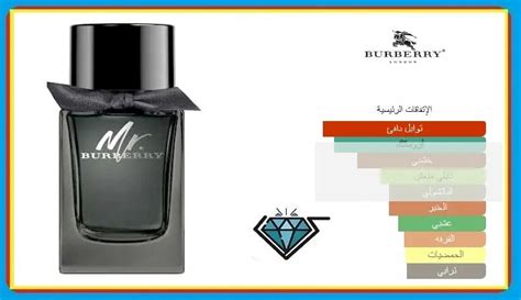 سعر عطر mr burberry|تقييم شامل .